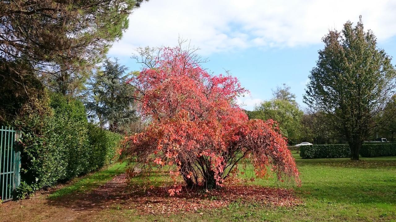 B&B La Casa Nel Parco Sesto San Giovanni Esterno foto