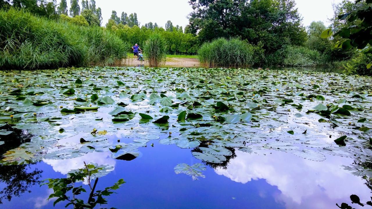 B&B La Casa Nel Parco Sesto San Giovanni Esterno foto